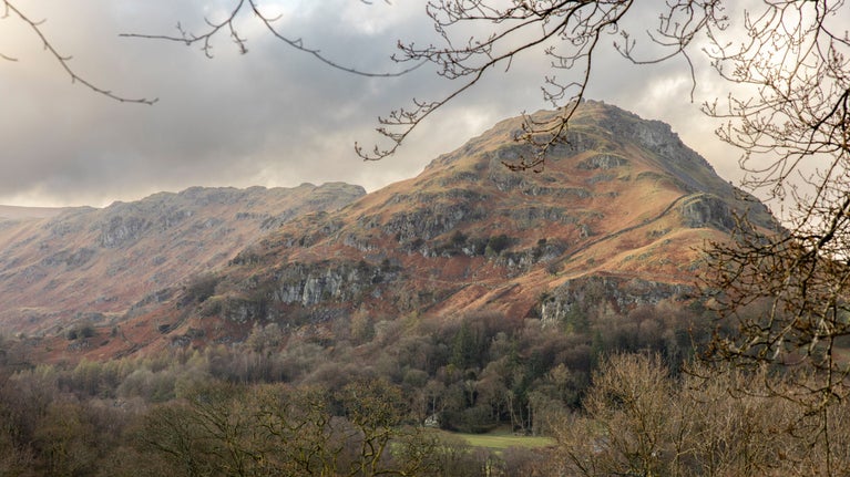 Mountainous landscape with a central rocky hill featuring patches of vegetation and exposed rock, framed by leafless tree branches in the foreground under a cloudy sky.